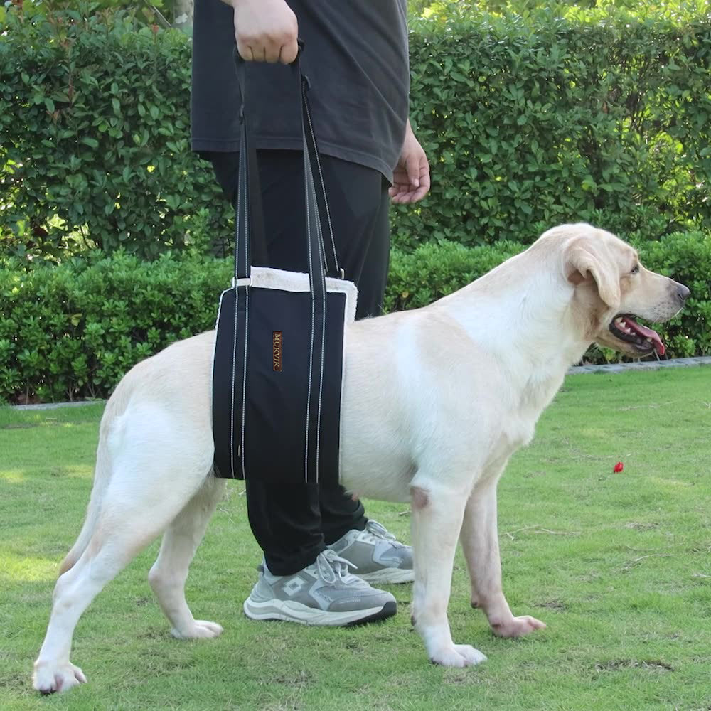 MUKVIK Dog Sling for Rear Legs Helps Elderly Dogs with Reduced Mobility, Dog Support Dog Lift Harness