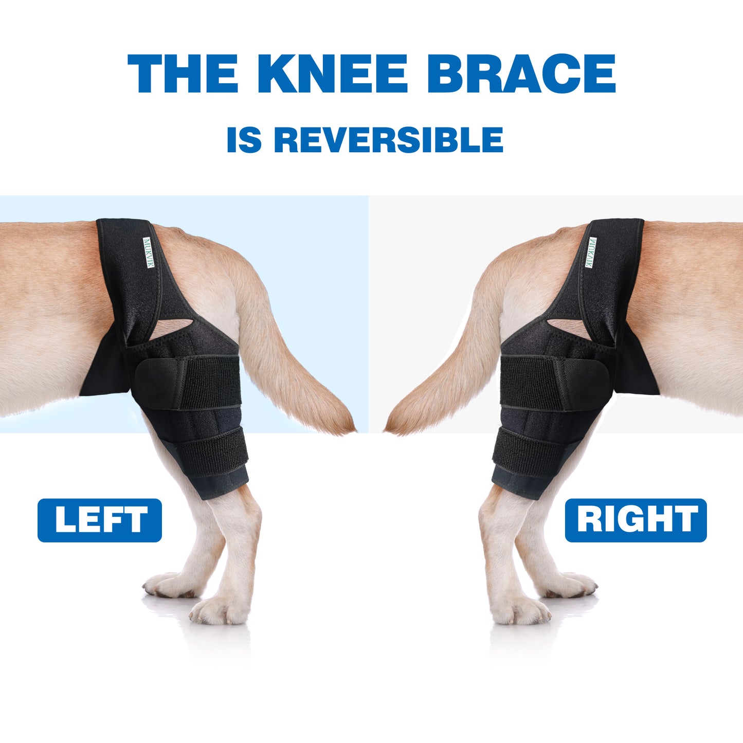 MUKVIK Dog Knee Brace for Torn ACL Hind Leg with Metal Support