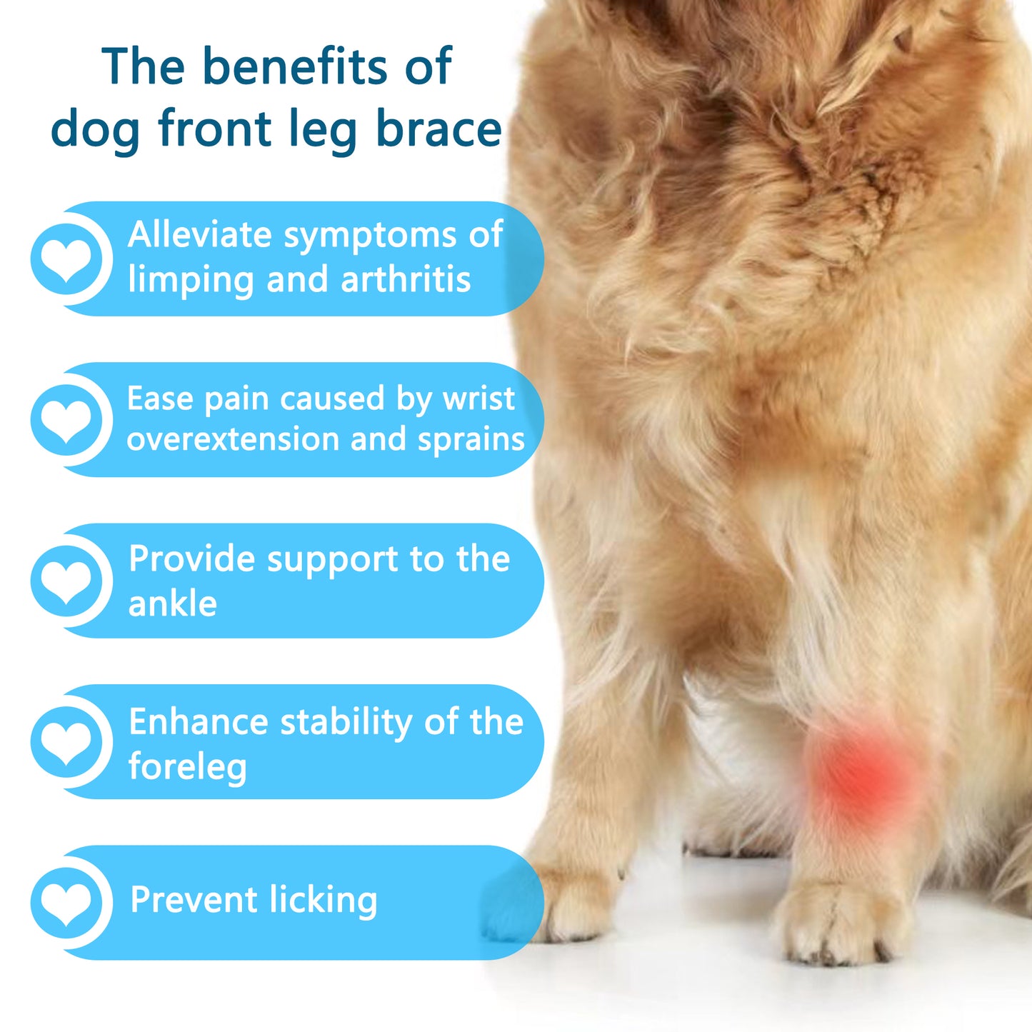 MUKVIK Dog Front Leg Brace, Pair of Dog Leg Brace with Metal Strips