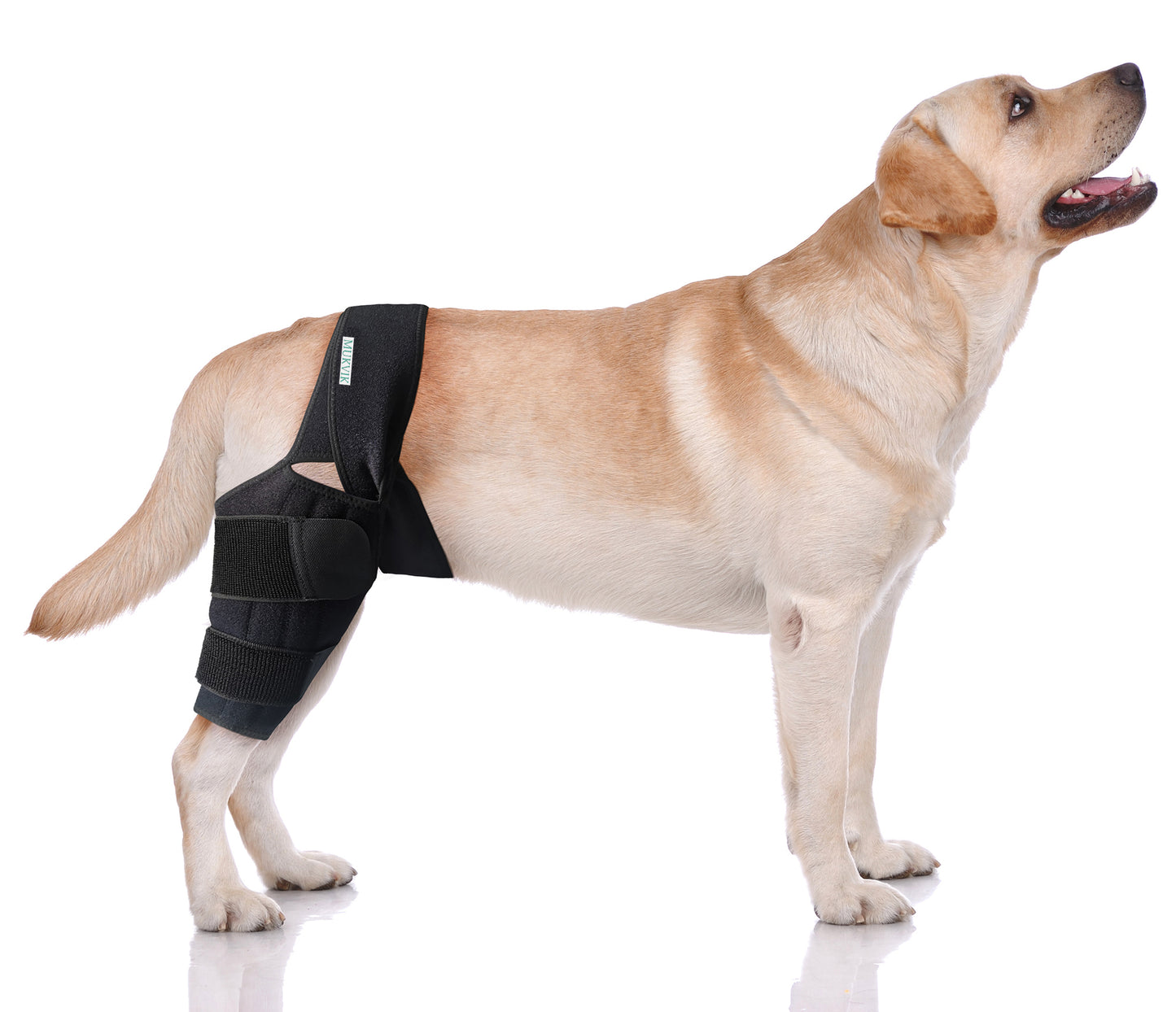 MUKVIK Dog Knee Brace for Torn ACL Hind Leg with Metal Support