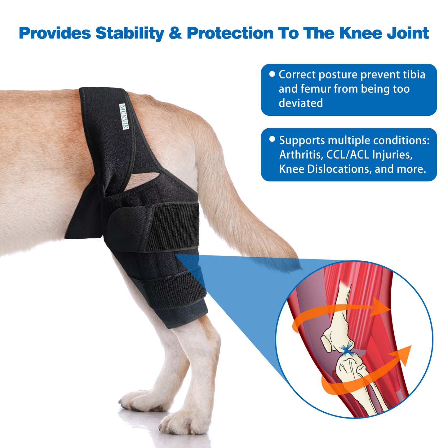 MUKVIK Dog Knee Brace for Torn ACL Hind Leg with Metal Support